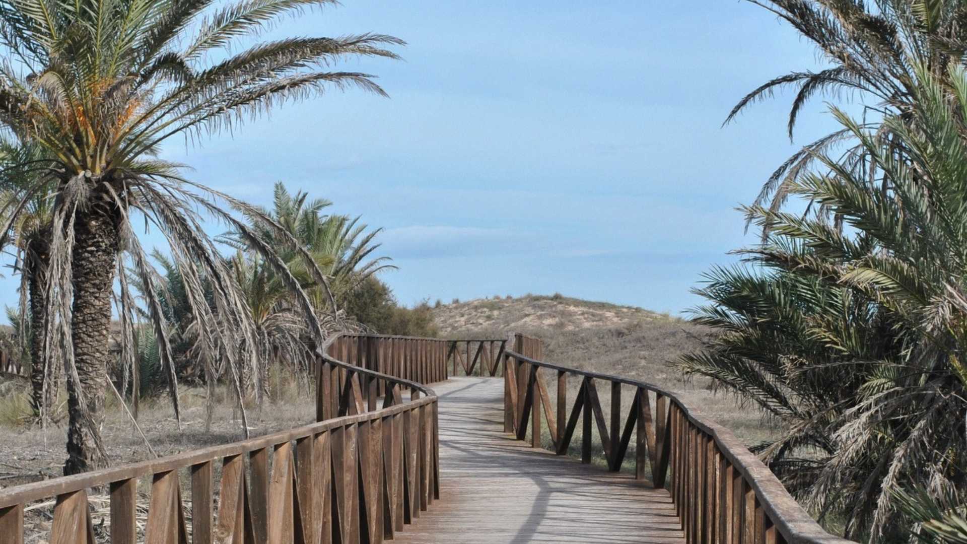 Entorno natural y dunas de la Playa de los Tusales en Guardamar