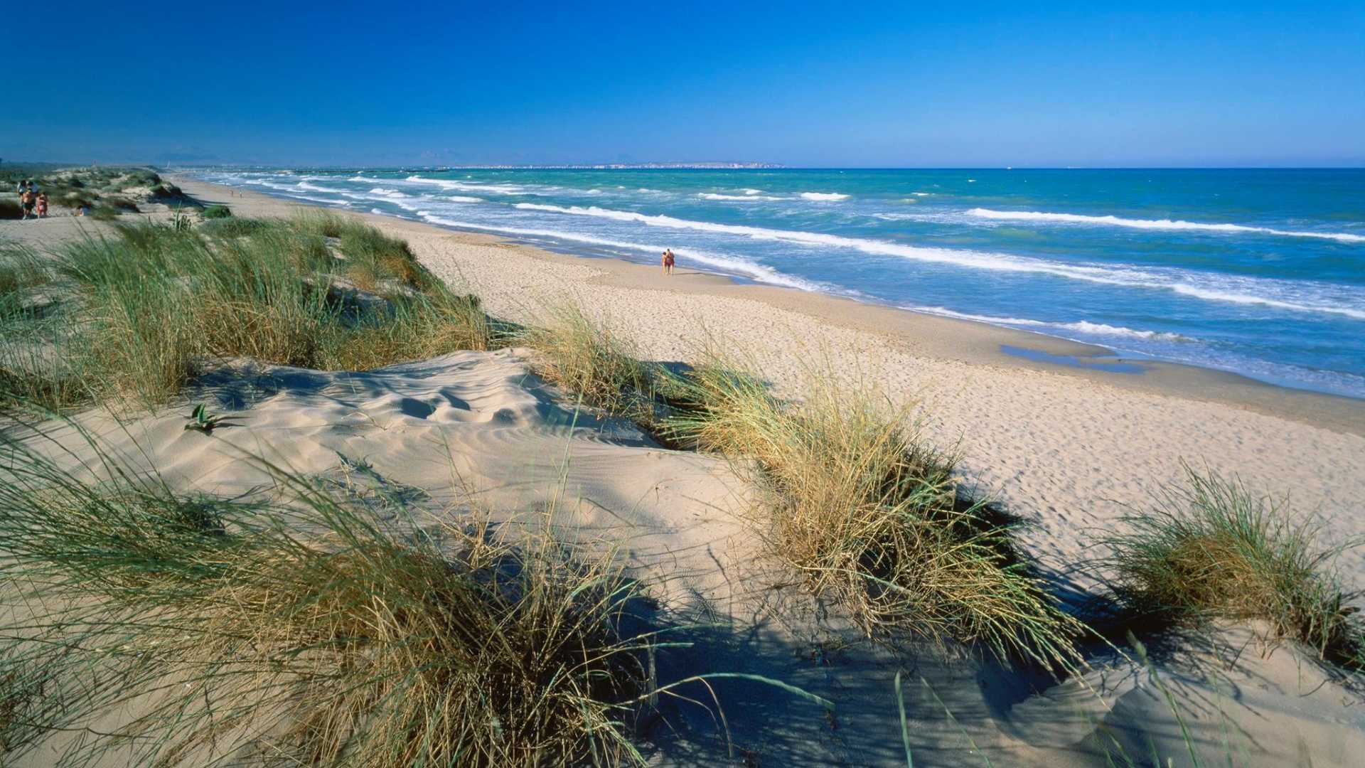 Dunas y vegetación mediterránea en la Playa de los Viveros