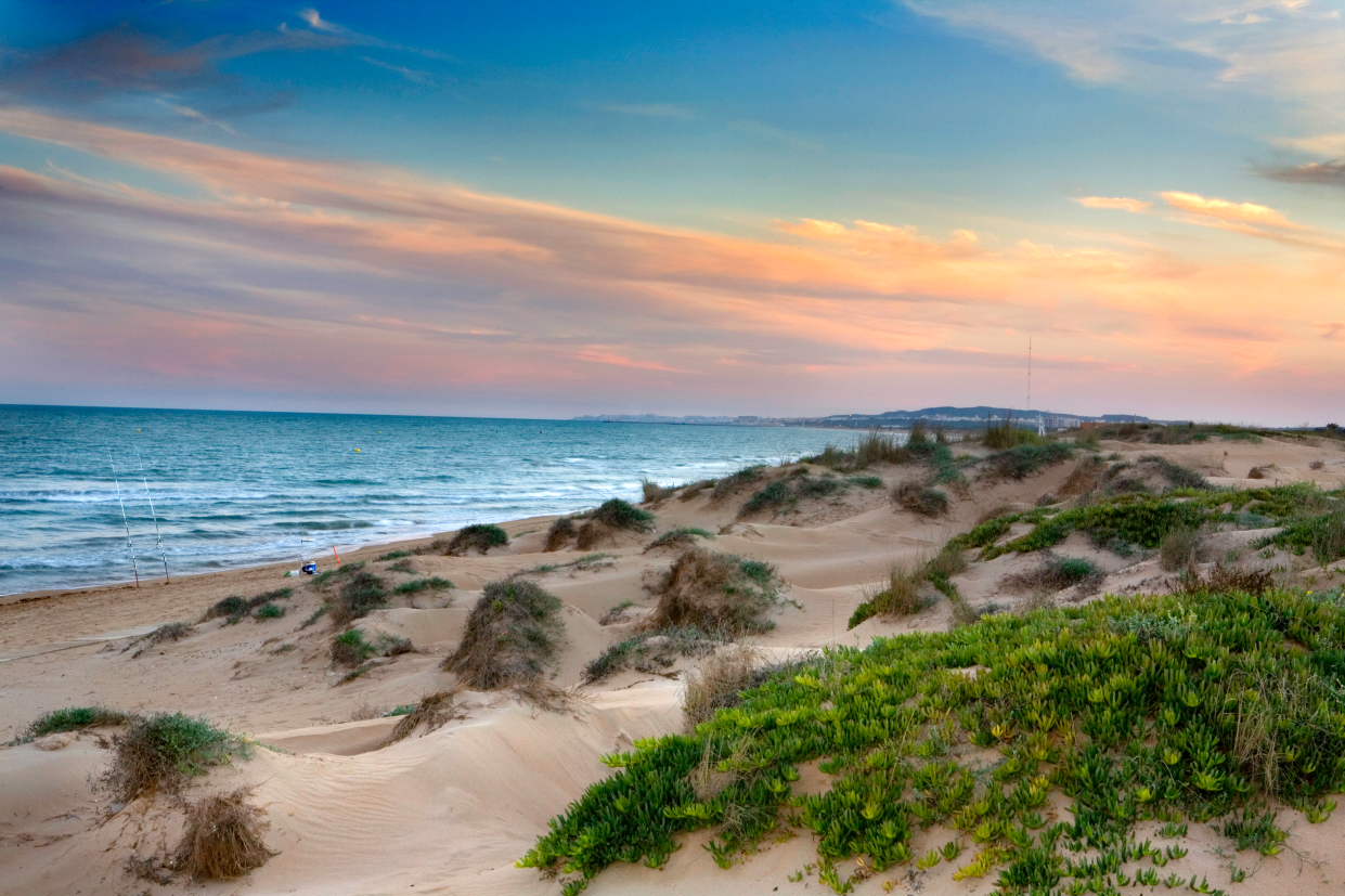 Pasarela de acceso a la Playa de La Marina a través de la pinada