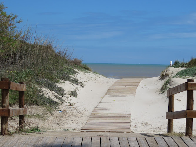 Pasarelas de madera en Las Higuericas